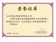 泰山國際A樓山東省建設工程優(yōu)質(zhì)結(jié)構杯