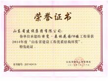 特變1號樓省優(yōu)質(zhì)結(jié)構杯